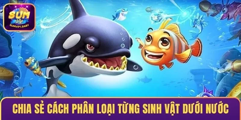 Chia sẻ cách phân loại từng con mồi dưới nước